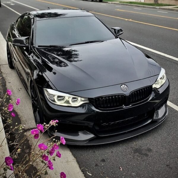 Carbon Fiber Front Kidney Grilles (Single Slat) - BMW F32 F33 F36(2014–2020)