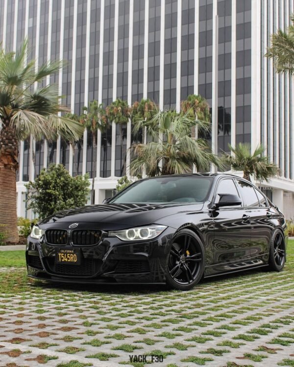Carbon Fiber Front Kidney Grilles (Dual Slat) - BMW F30 F31(2012–2018)