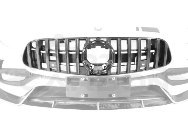 Carbon Fiber Front Bumper Grill - Mercedes Benz AMG GT/GTS/GTC (2017-2021)