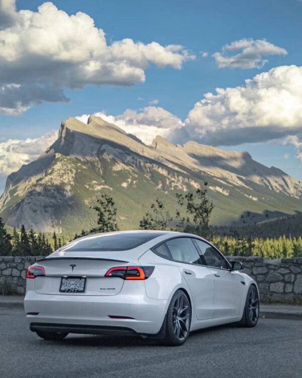 Carbon Fiber Trunk Spoiler OEM Style - Tesla Model 3 (2017–2023)