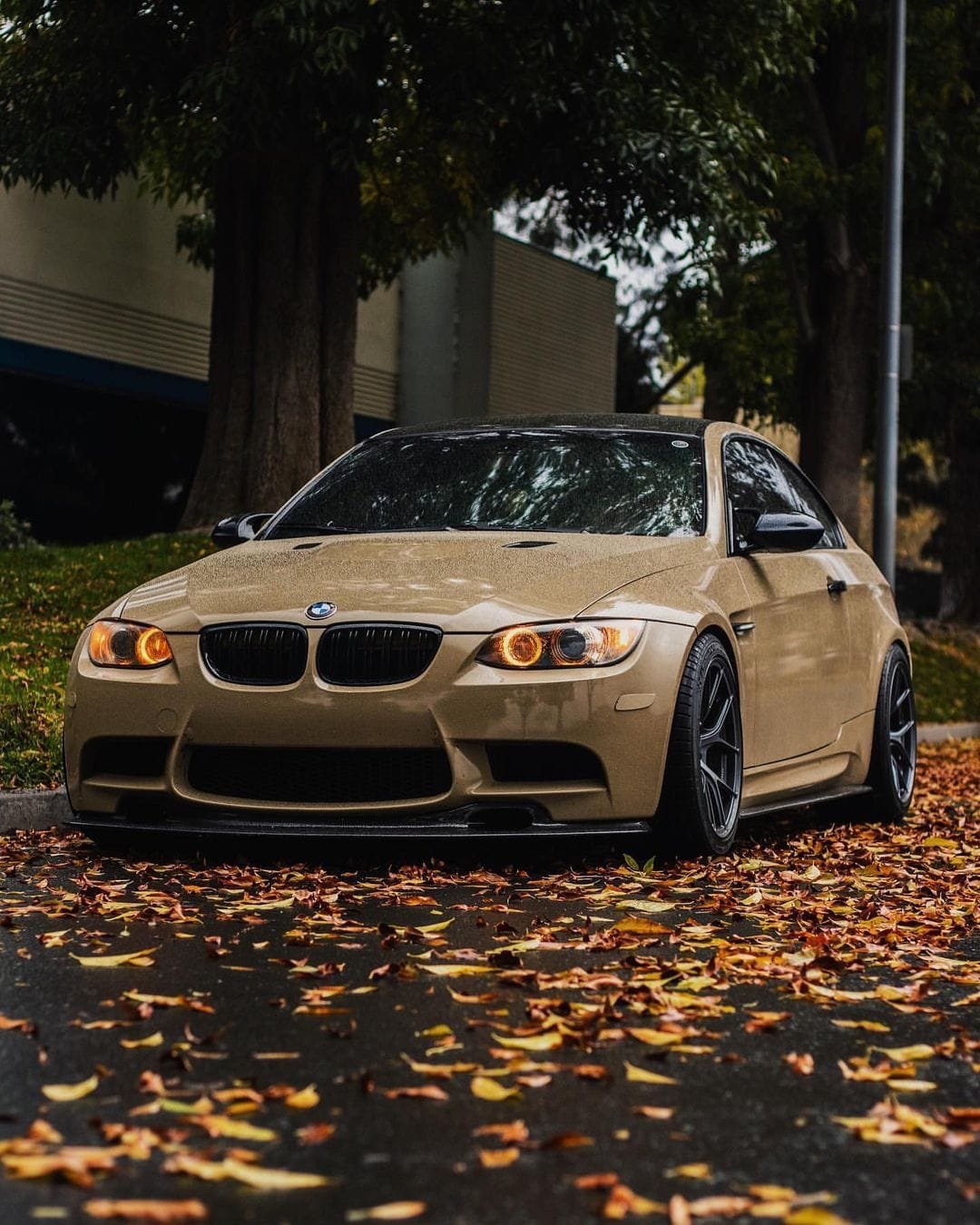 Carbon Fiber Side Skirts - BMW E92 E93 (M3) 2008–2013