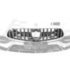 Carbon Fiber Front Bumper Grill - Mercedes Benz AMG GT/GTS/GTC (2017-2021)
