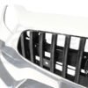 Carbon Fiber Front Bumper Grill - Mercedes Benz AMG GT/GTS/GTC (2017-2021)