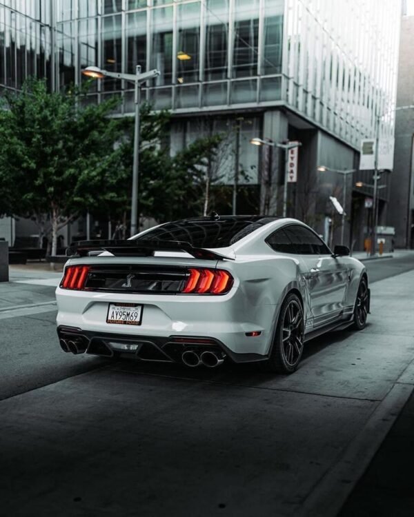 Carbon Fiber GT500 Style Trunk Wing Spoiler - Ford Mustang (2015-2022)