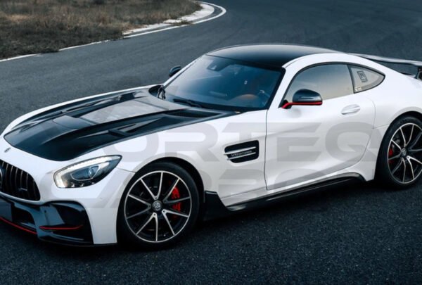 Partial Carbon Fiber Side Skirts (IMP Performance) - Mercedes Benz AMG GT GTS (2015-2022)