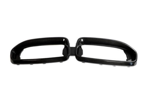 Carbon Fiber Front Kidney Grilles - BMW G42 2 Series (2022+)