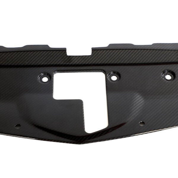 Carbon Fiber Engine Radiator Cover - Nissan Z (RZ34) (2023+)